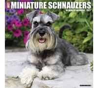 Willow Creek Press, Just Miniature Schnauzers Calendrier mural 2027