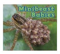 Minibeast Babies by Catherine Veitch Catherine Veitch (Auteur)