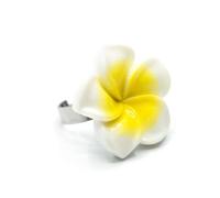 Miniblings Bague Frangipani Fleur Pulmera Surfing Hawaii Island Blanc - Bijoux de mode faits à la main | Bague avec motif | Taille unique réglable