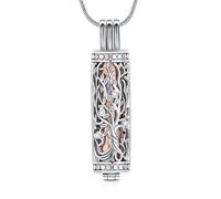 Minicremation Collier avec pendentif urne de crémation avec cylindre creux Vial Keepsake Urne de crémation Bijoux Memorial Lockets pour cendres pour femmes et hommes, Zircone cubique Acier inoxydable