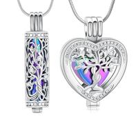 Minicremation Lot de 2 colliers funéraires en forme de cœur en cristal avec fiole cylindrique creuse pour homme/femme, Acier inoxydable, Pas de gemme