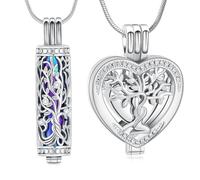 Minicremation Lot de 2 colliers funéraires en forme de cœur en cristal avec fiole cylindrique creuse pour homme/femme, Acier inoxydable, Pas de gemme