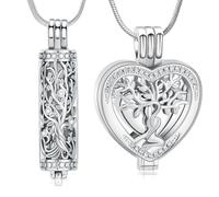 Minicremation Lot de 2 colliers funéraires en forme de cœur en cristal avec fiole cylindrique creuse pour homme/femme, Acier inoxydable, Pas de gemme