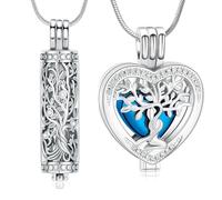 Minicremation Lot de 2 colliers funéraires en forme de cœur en cristal avec fiole cylindrique creuse pour homme/femme, Acier inoxydable, Pas de gemme