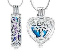 Minicremation Lot de 2 colliers funéraires en forme de cœur en cristal avec fiole cylindrique creuse pour homme/femme, Acier inoxydable, Pas de gemme