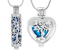 Minicremation Lot de 2 colliers funéraires en forme de cœur en cristal avec fiole cylindrique creuse pour homme/femme, Acier inoxydable, Pas de gemme