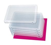 Miniland 6 Chevilles Plaques Transparentes
