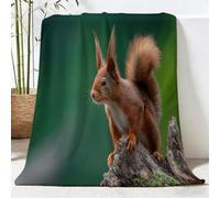 Minimalisme Naturel Couverture Polaire Plaid Jeté de Canapé, 80x150 cm | Animaux Écureuils Bois Mort Douce Couverture en Flanelle à Chevrons, Légère et Moelleuse pour Toutes Saisons