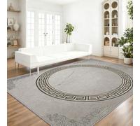 Minimaliste Classique Tapis de Salon Lavable en Machine Antiderapant | Imprimé Motif Grec Texture De Pierre, Tapis Doux et Léger pour Salle à Manger Chambre Couloir Bureau 160 x 230 cm