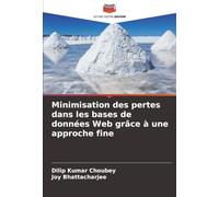 Minimisation des pertes dans les bases de données Web grâce à une approche fine