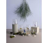 Minizoo Paris Verre à Eau avec figurines animaux | Gobelet | Lot de 6 | 350cc | Fête | Cadeaux de Noël | Figurines en Verre de Murano pour la décoration intérieur