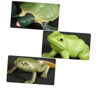 minkissy 2 Ensembles Modèles Évolution Animale Tortue et Grenouille Figurines Solides Éducatif pour Garçon Fille