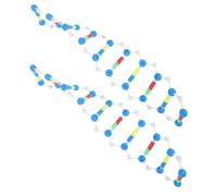 minkissy 2 pièces Modèle Double Hélice Kit Composants Interaction Manuelle pour Enseignement Génétique Expérimentation Pédagogique
