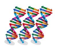 minkissy 3 pièces Modèle Double Hélice Kit Éducatif Scientifique DIY pour Apprentissage Génétique et Enseignement Biologique Interactif