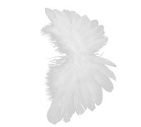 minkissy Ange Pour Ailes De Fée Ailes Noires Pour Adultes Décoration Dhalloween