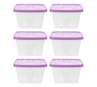 minkissy Boîte de Déshumidificateur Vide Réutilisable en Plastique Transparent, Lot de 6 Pièces, Facile à Remplir, pour Placard et Armoire