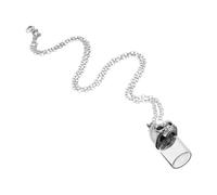 minkissy Collier De Flacon De Sang Pendentif Tête De Mort Bijoux De Cendres Pour Animaux De Compagnie Bijoux De Crémation Coeur Pendentif Dinosaure Silver Un Verre