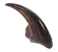 minkissy Griffe de Dinosaure Réaliste Objet de Recherche et d'Éducation Scientifique en pour Étude avec Structure Détaillée pour Enseignement