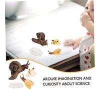 minkissy Kit Éducatif Escargot Modèle Réaliste PVC Cycle de Vie Simulé pour Garçons et Filles Pédagogique pour Apprentissage