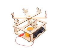 minkissy Manège à Soi-Même Éducatif pour Garçon et Filles en Bois Kit de Construction Stem Jouet Scientifique pour Développement de L'Imagination Créativité 1 Ensemble