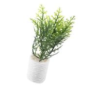 minkissy Miniature Potted Bonsai Model Miniature Plant for Doll House Decoration Smooth Surface Realistic Design for Micro Landscape and Small House Ornament