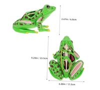 minkissy Modèle de Dissection Réaliste pour Science Garçon Fille Kit Éducatif Démontable pour Apprentissage Anatomique et