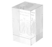 minkissy Modèle de Poumon Humain en Cristal, Figurine Anatomique en Cristal, Cube, Gravure Interne 3d, Décoration Éducative, Étudiants en Médecine, Enseignement Scientifique