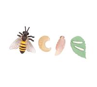 minkissy Modèle Insecte Simulation Cycle de Vie de Abeille Éducatif pour Garçon Fille Décoration Animaux
