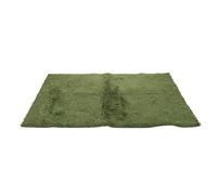 minkissy Tapis de Terrarium Réutilisable pour Reptiles, Litière Décorative en Mousse Synthétique 60x40 Cm, Revêtement Substrat pour Tortues et Amphibiens, Accessoire pour Cage et Vivarium,