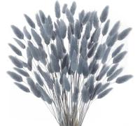 Minnhua 120pcs Herbe De La Pampa Fleurs Séchées Ovatus Séché Naturel 43cm Fleur Sechees Naturelle Boheme Fleurs Décoration Anniversaire Décoration Mariage Maison（Gris）