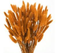 Minnhua 120pcs Herbe de la Pampa Orange Naturelle - Fleurs Séchées Bouquet pour Décoration Maison, Anniversaire et Mariage