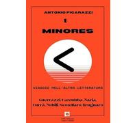 Minores. Viaggio nell'altra letteratura. Nuova ediz.