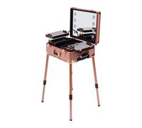 MINRS Valise de maquillage à roulettes - Avec miroir et lumière - Hauteur et luminosité réglables - Pour les voyages, les coiffeurs, les maquilleurs - Rose doré