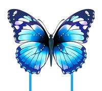 Mint's Colorful Life Dragon Voleur Papillon pour Enfants et Adultes Bleu