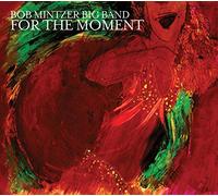 Mintzer, Bob -Big Band- - for The Moment [Import]