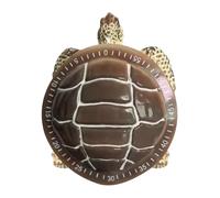 Minuterie Tortue - Minuteur de compte à rebours visuel de 5 cm | Magnétique mécanique sous- - Cuisine Fitness cuisine pour l'apprentissage | Principe d'horlogerie, pas besoin de