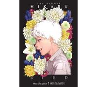 The Summer Hikaru Died (light novel)