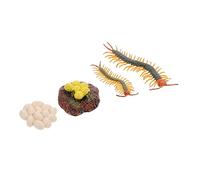 Mipcase 1 Ensemble Modèle de Cycle de Vie de Centipède Figurine Éducative pour Apprentissage des Insectes Améliore la Cognition Nature et Stimule Imagination