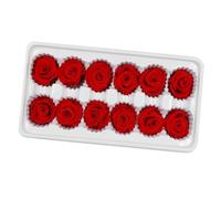 Mipcase 12 Pièces Fleur Préservée Rose Bouquet de Eternelle Décoratif