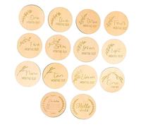 Mipcase 14pièces Cartes Jalons Marqueurs Décoratifs Pour Maison Disques Jalons De Croissance Accessoires Photo Né