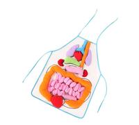 Mipcase 1Ensemble Tablier Éducatif Organes Humains pour Garçon Fille Cognitif et Apprentissage Préscolaire Doux pour Reconnaissance Anatomique