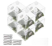 Mipcase 2ensembles Enclos Transparent pour Araignées Sauteuses Habitat Acrylique avec Conteneur pour Escargots Ensemble pour Reptiles Et Insectes