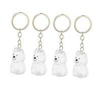 Mipcase 4 Pièces Porte Clés Transparent pour Poils Animaux Boîte Commémorative pour Chien Accessoire Pratique pour Clés et Sacs Souvenir Émotionnel pour Lien Affectif