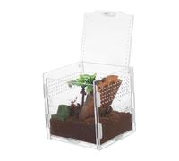 Mipcase Boîte Délevage pour Terrarium Accessoires pour Araignées Cage À Araignées Sécurisée pour Un Usage Domestique Conception Anti-évasion