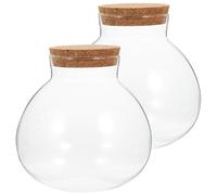 Mipcase Bouteille Écologique en Verre 2 Pièces pour Terrarium et Plantation de Plantes Vertes, Accessoire de Bureau et Décoration Maison