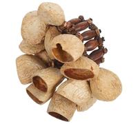 Mipcase Bracelet Shaker Coquilles Naturelles Léger pour Danse Africaine Percussion Poignet Instrument Musical à Grelots Tribal pour Yoga Festival et Fête