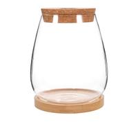 Mipcase Couvercle De Terrarium en Verre Bocal Vide pour Terrarium Bouteille en Mousse Contenant pour Plantes Récipients en Verre pour Terrarium