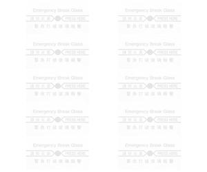 Mipcase Lot de 10 Pièces de Remplacement Vitre Transparente pour Interrupteur Manuel D'alarme Incendie, Verre Résistant la Chaleur, Compatible Dispositif D'urgence Intérieur