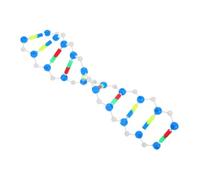 Mipcase Modèle Moléculaire Pour Les Cours De Biologie. Modèle De Structure De L'adn Pour La Génétique Et La Biochimie. Projets Scolaires Et Scientifiques.