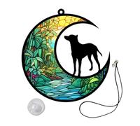 Mipcase plaque commémorative pour animaux de compagnie animal de compagnie collier pour chat avec grelot jouets dog tag ornement de lune de chien pour la maison art suspendu Acrylique